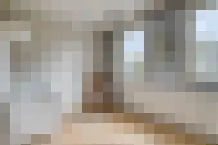 Noppenstraat 4 Hulst thumbnail 23