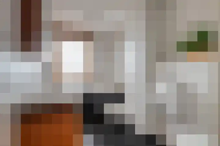 Noppenstraat 4 Hulst thumbnail 26