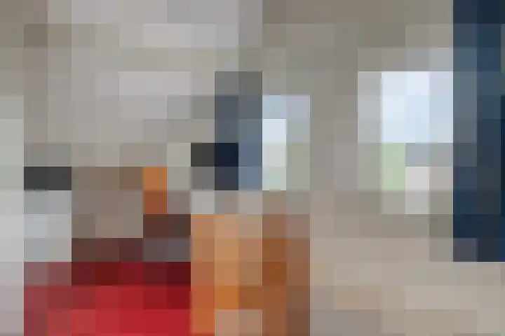Noppenstraat 4 Hulst thumbnail 30
