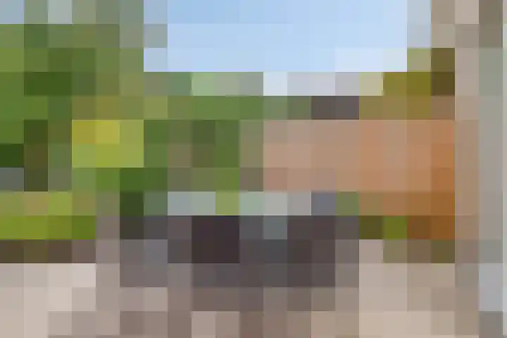 Noppenstraat 4 Hulst thumbnail 34