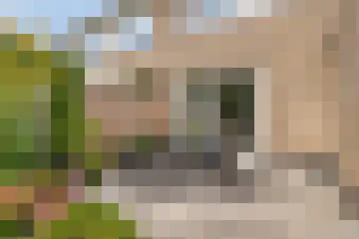 Noppenstraat 4 Hulst thumbnail 35