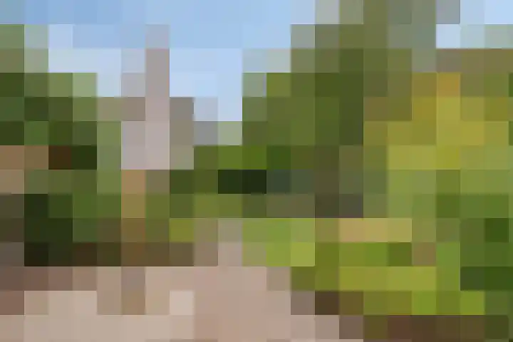 Noppenstraat 4 Hulst thumbnail 36