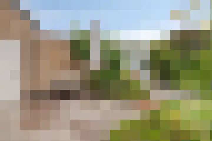 Noppenstraat 4 Hulst thumbnail 37
