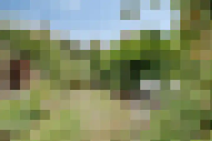Noppenstraat 4 Hulst thumbnail 39