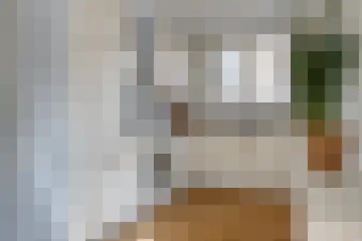 Noppenstraat 4 Hulst thumbnail 4