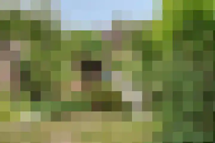 Noppenstraat 4 Hulst thumbnail 40