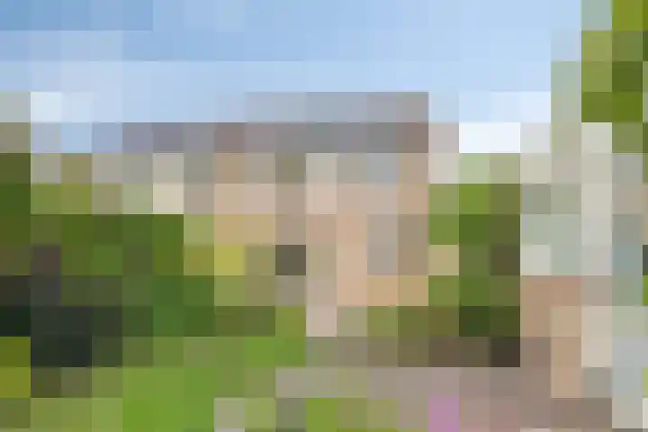Noppenstraat 4 Hulst thumbnail 41