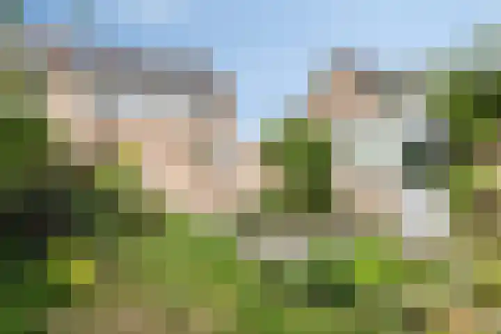 Noppenstraat 4 Hulst thumbnail 42
