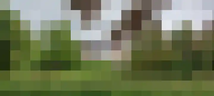 Noppenstraat 4 Hulst thumbnail 43