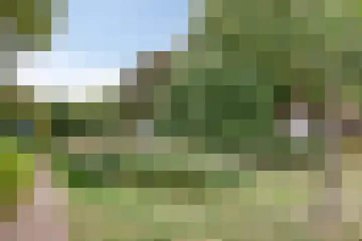 Noppenstraat 4 Hulst thumbnail 44