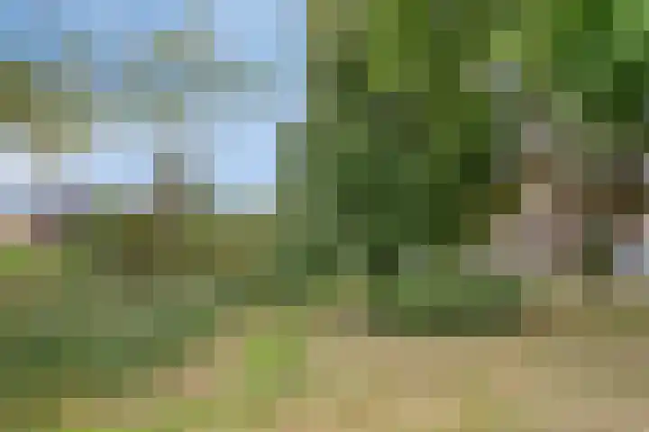 Noppenstraat 4 Hulst thumbnail 45