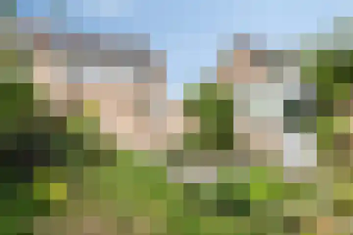 Noppenstraat 4 Hulst thumbnail 6