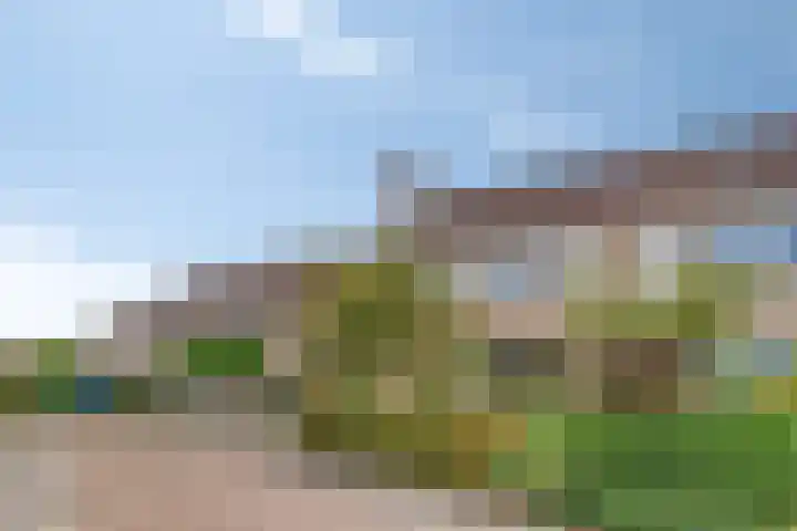 Noppenstraat 4 Hulst thumbnail 7