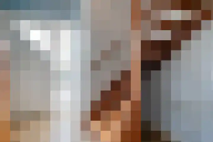 Noppenstraat 4 Hulst thumbnail 8