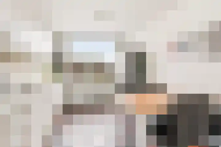 Noppenstraat 44 Zwaanshoek thumbnail 10
