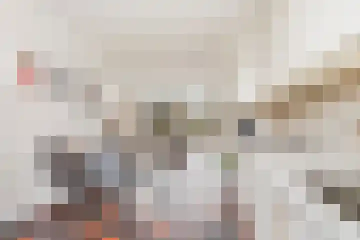 Noppenstraat 44 Zwaanshoek thumbnail 12