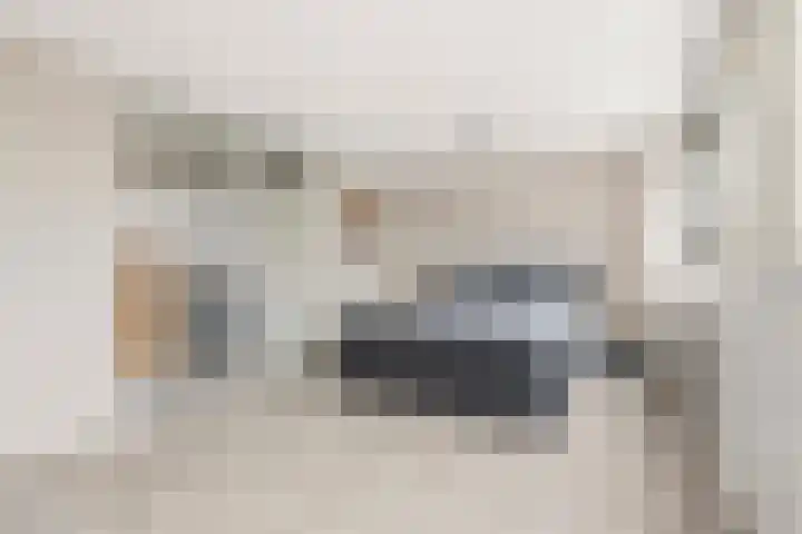 Noppenstraat 44 Zwaanshoek thumbnail 16