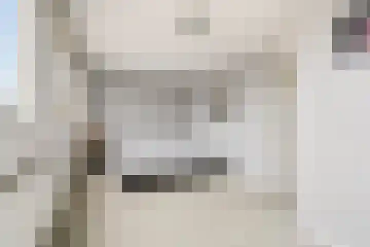 Noppenstraat 44 Zwaanshoek thumbnail 18