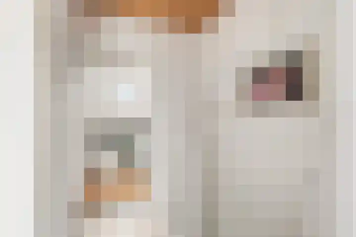 Noppenstraat 44 Zwaanshoek thumbnail 22