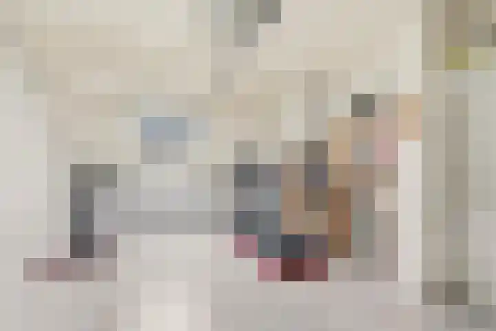 Noppenstraat 44 Zwaanshoek thumbnail 23