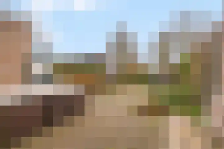 Noppenstraat 44 Zwaanshoek thumbnail 25