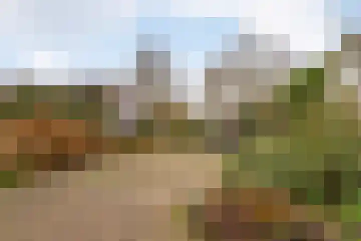 Noppenstraat 44 Zwaanshoek thumbnail 26