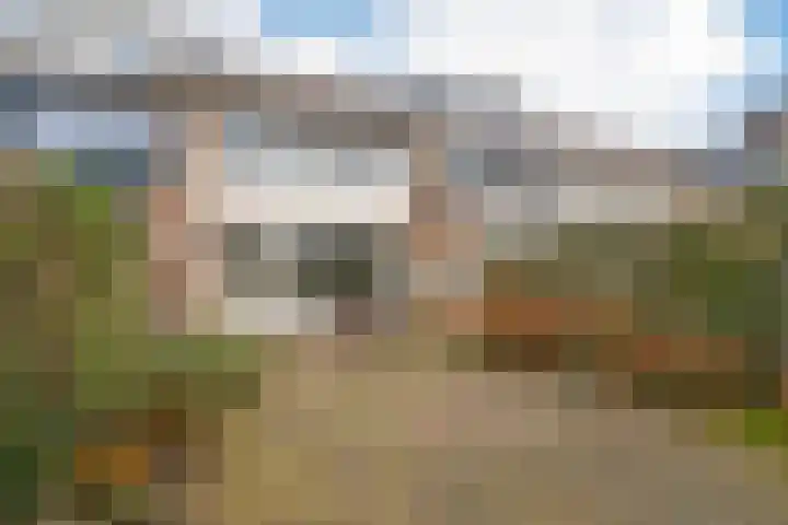 Noppenstraat 44 Zwaanshoek thumbnail 30