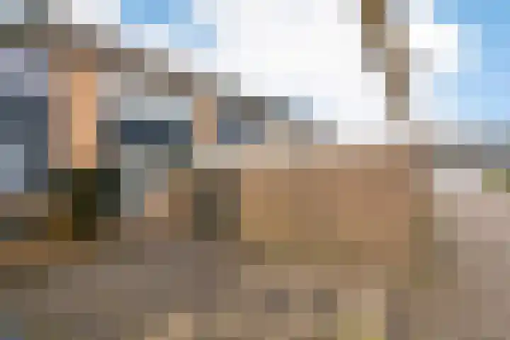Noppenstraat 44 Zwaanshoek thumbnail 33
