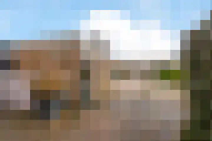 Noppenstraat 44 Zwaanshoek thumbnail 35