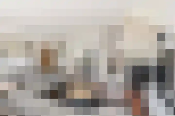 Noppenstraat 44 Zwaanshoek thumbnail 4