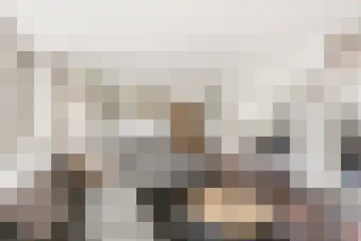 Noppenstraat 44 Zwaanshoek thumbnail 5
