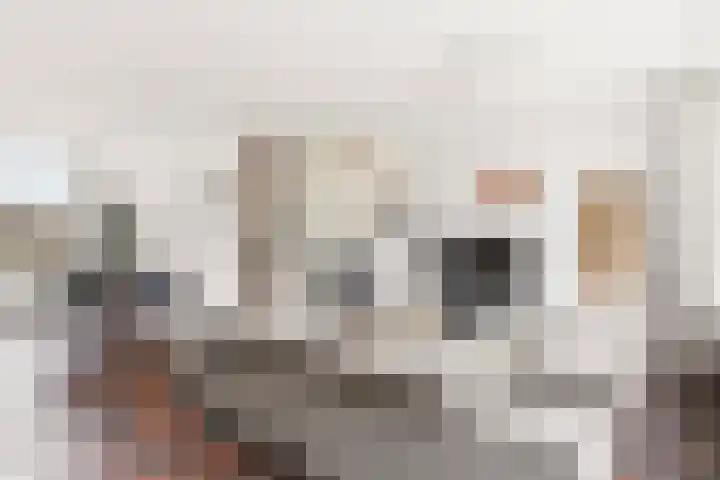 Noppenstraat 44 Zwaanshoek thumbnail 6