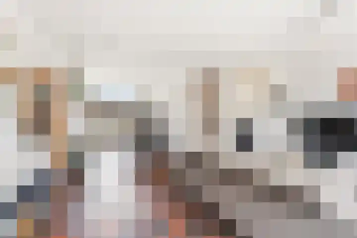 Noppenstraat 44 Zwaanshoek thumbnail 7