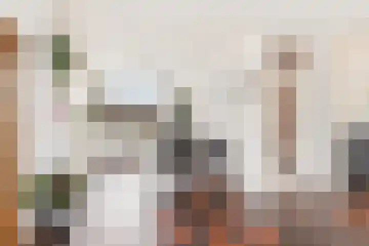 Noppenstraat 44 Zwaanshoek thumbnail 8