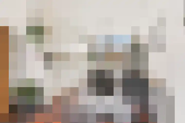Noppenstraat 44 Zwaanshoek thumbnail 9