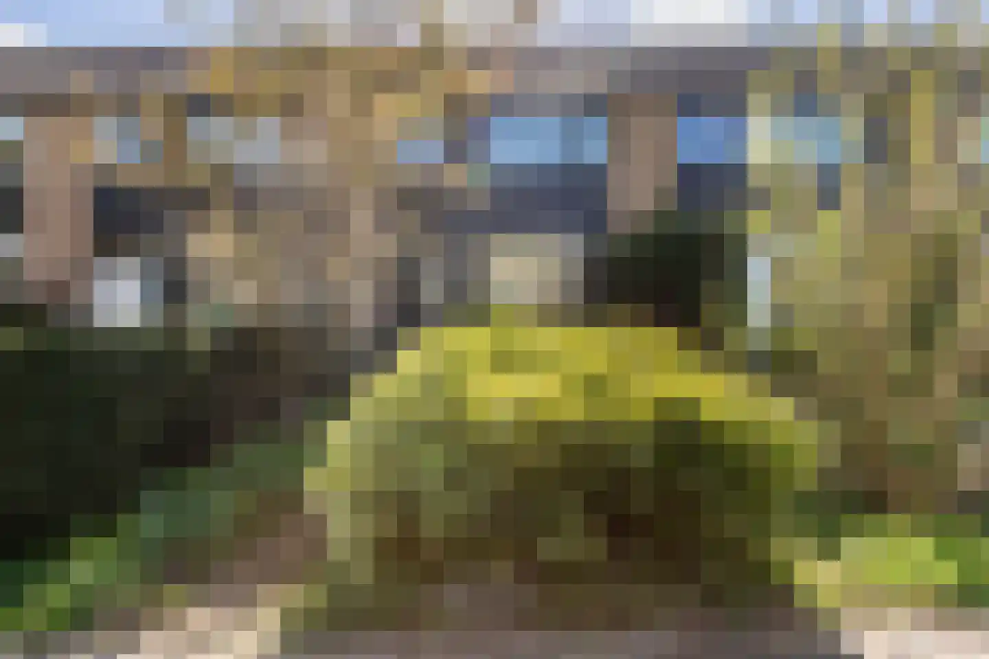 Noppenstraat 60 in Zwaanshoek