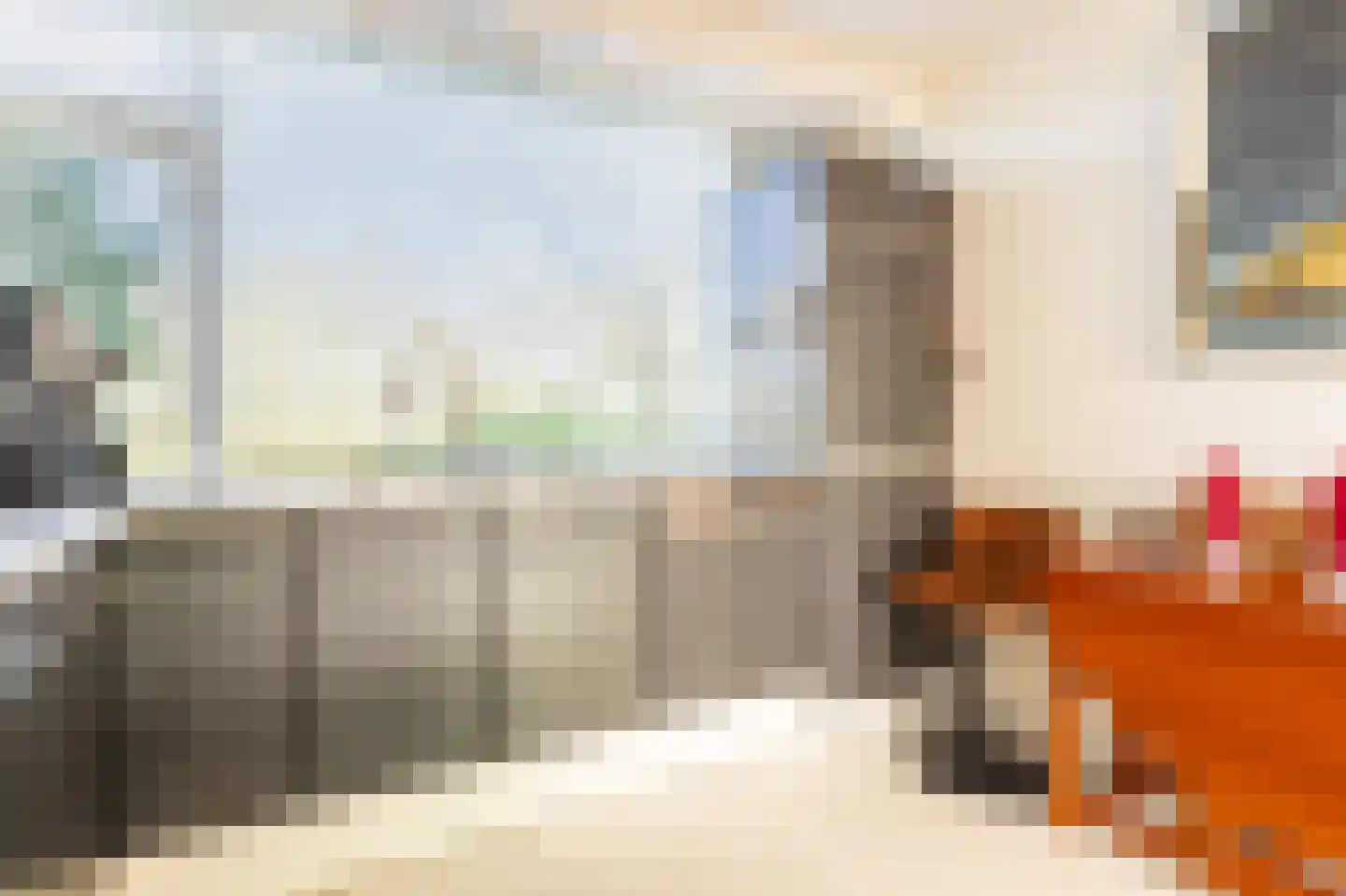 Noppenstraat 60 Zwaanshoek thumbnail 10