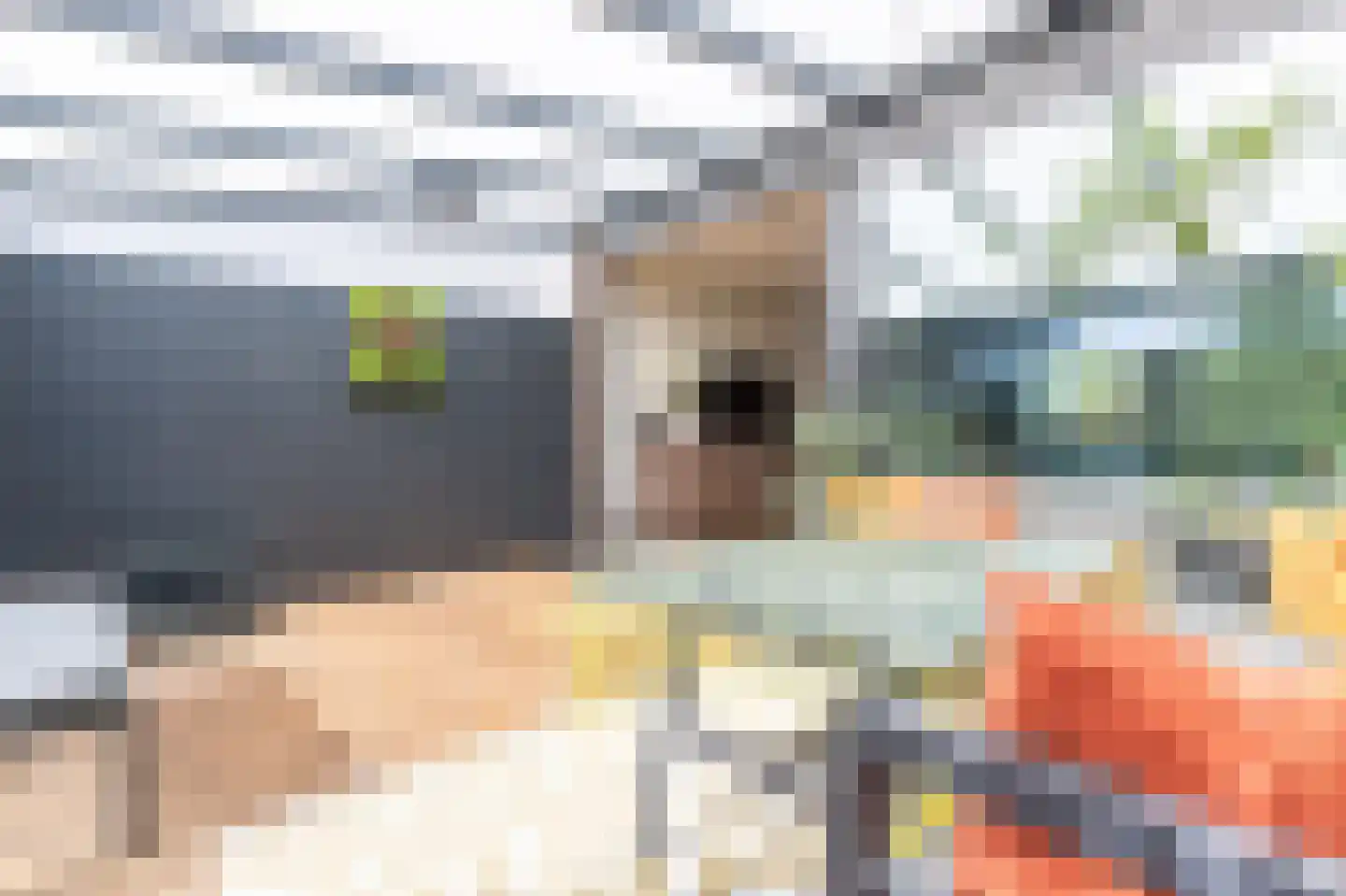 Noppenstraat 60 Zwaanshoek thumbnail 14