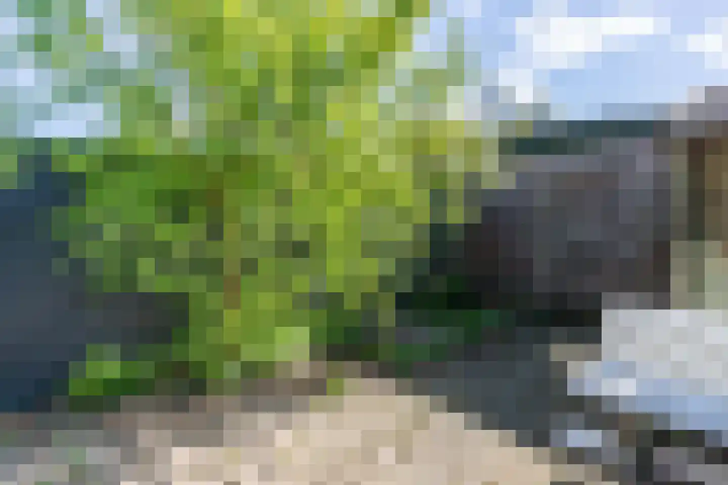 Noppenstraat 60 Zwaanshoek thumbnail 16