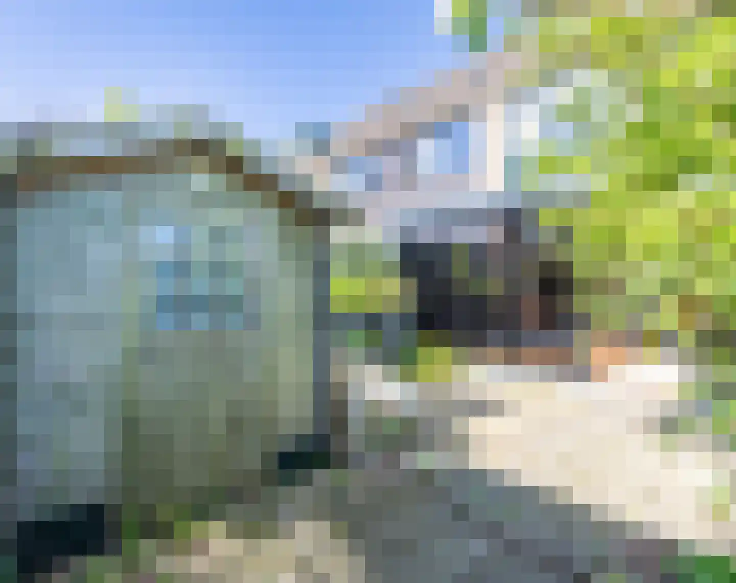 Noppenstraat 60 Zwaanshoek thumbnail 17