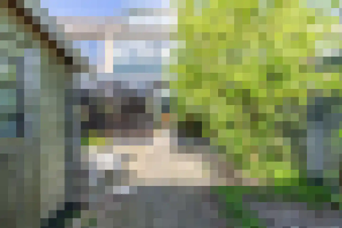 Noppenstraat 60 Zwaanshoek thumbnail 18