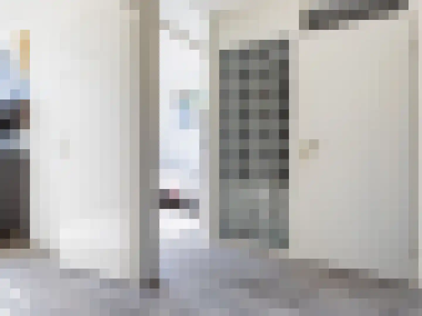 Noppenstraat 60 Zwaanshoek thumbnail 19
