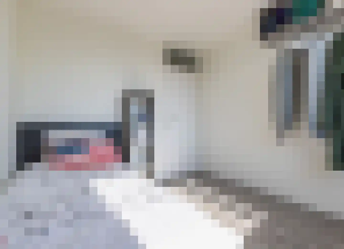 Noppenstraat 60 Zwaanshoek thumbnail 25