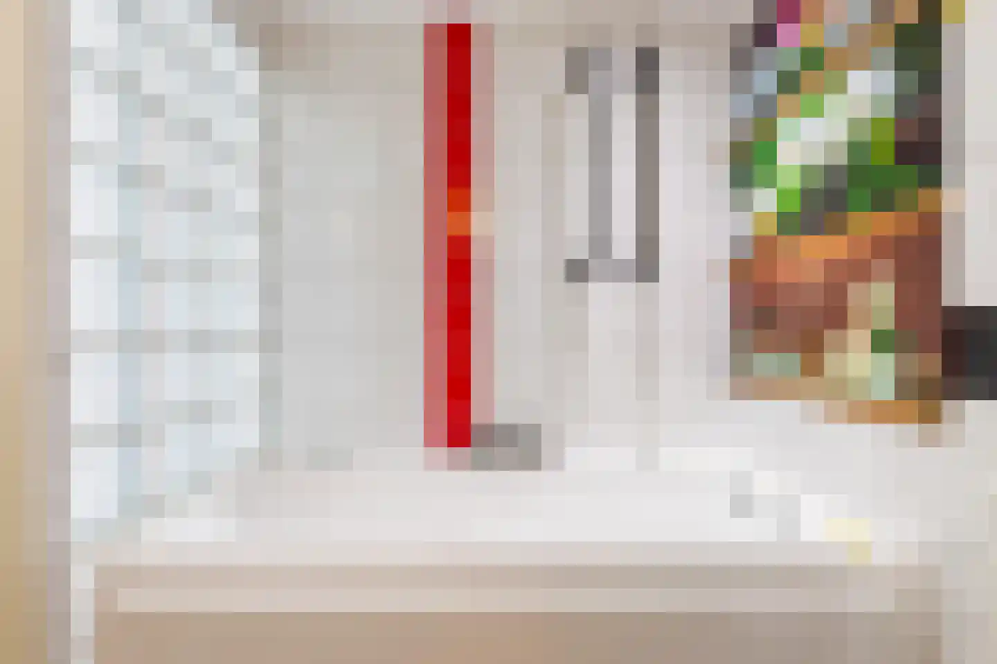 Noppenstraat 60 Zwaanshoek thumbnail 27