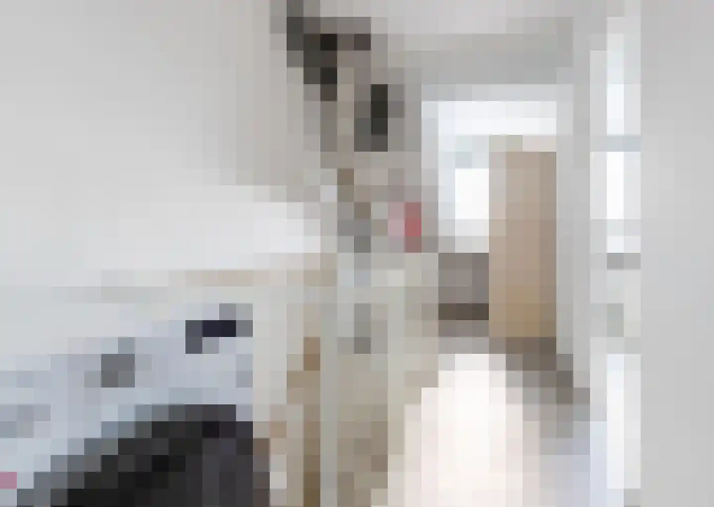 Noppenstraat 60 Zwaanshoek thumbnail 30