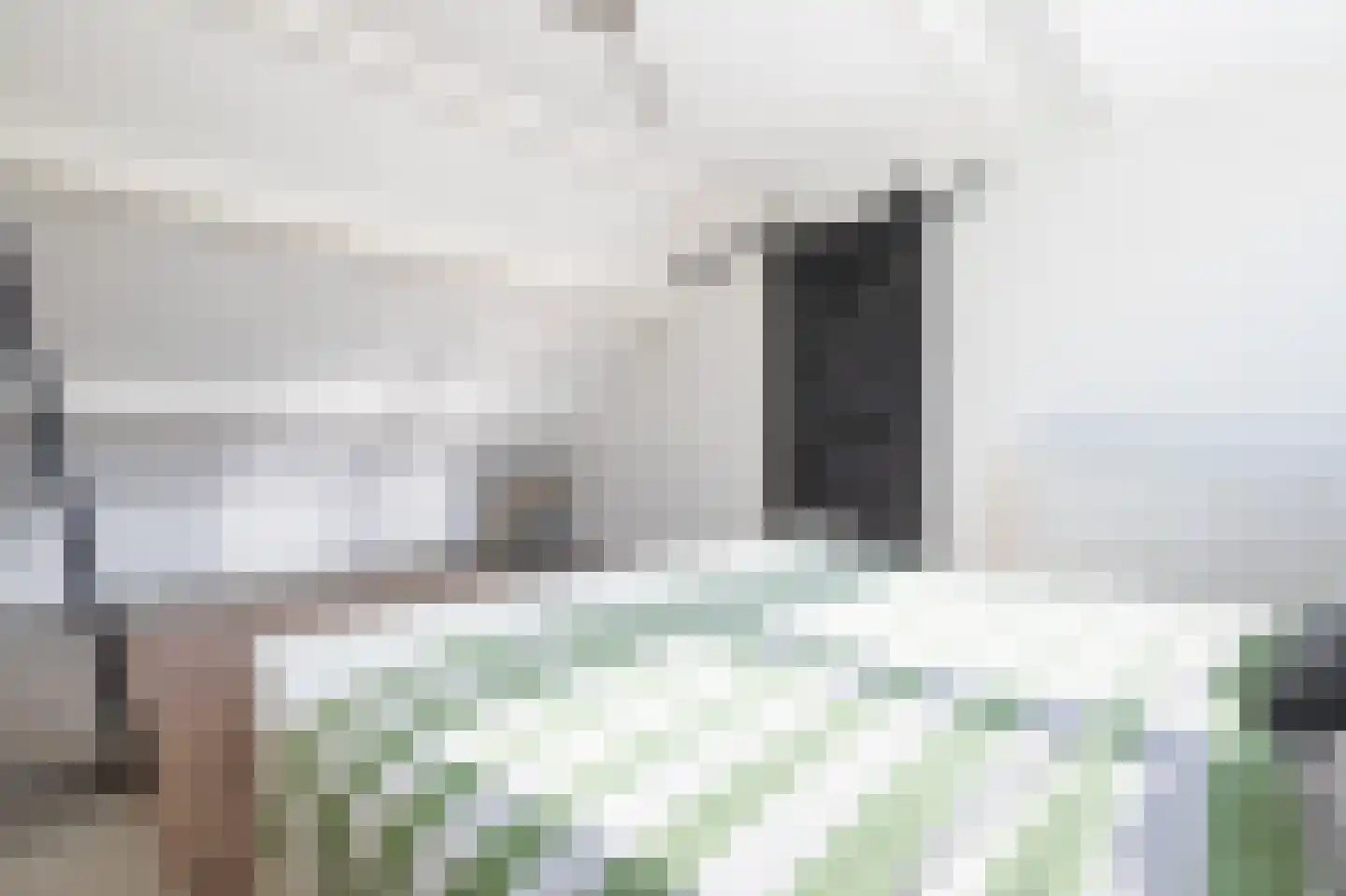Noppenstraat 60 Zwaanshoek thumbnail 32