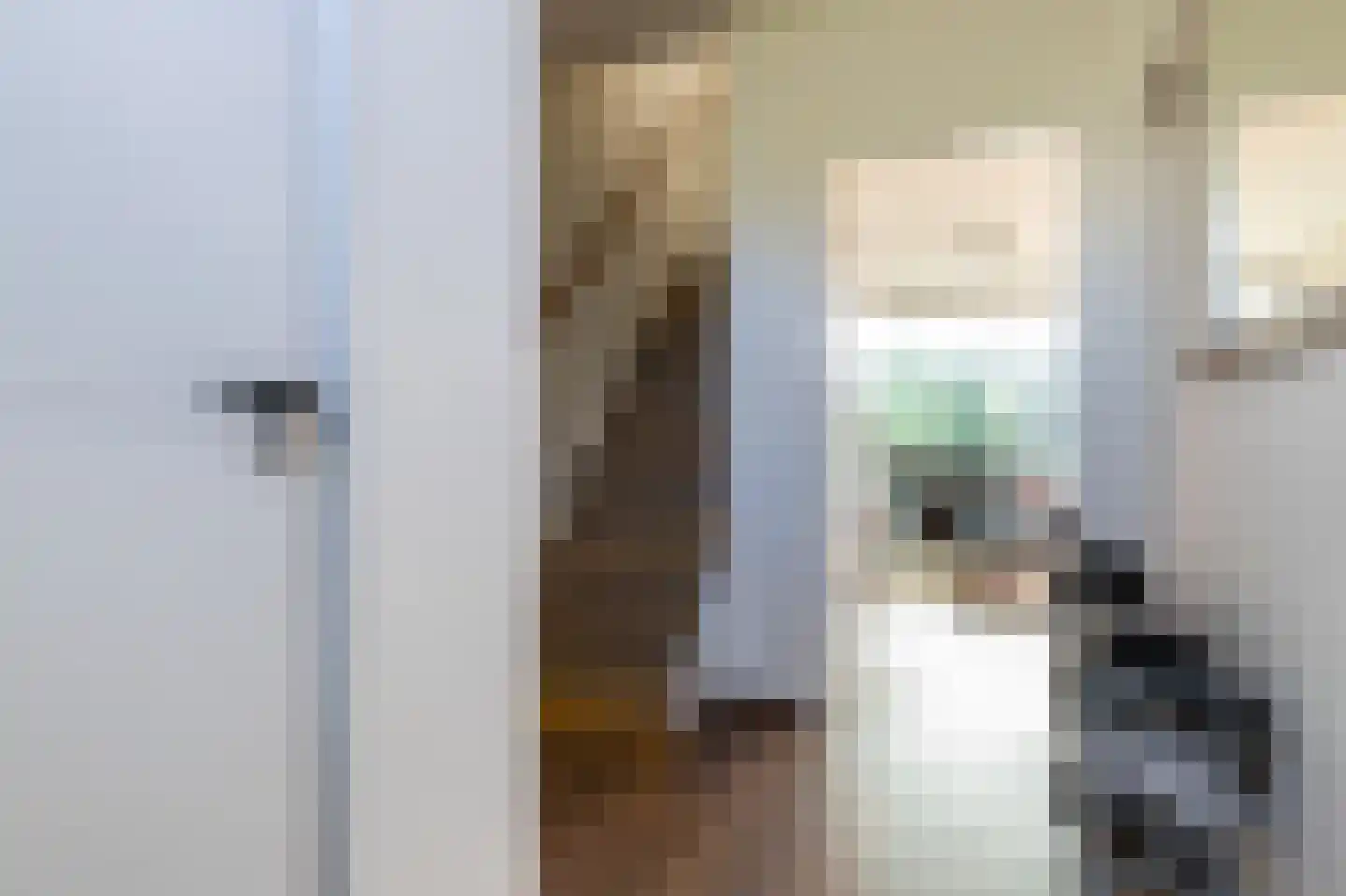 Noppenstraat 60 Zwaanshoek thumbnail 4