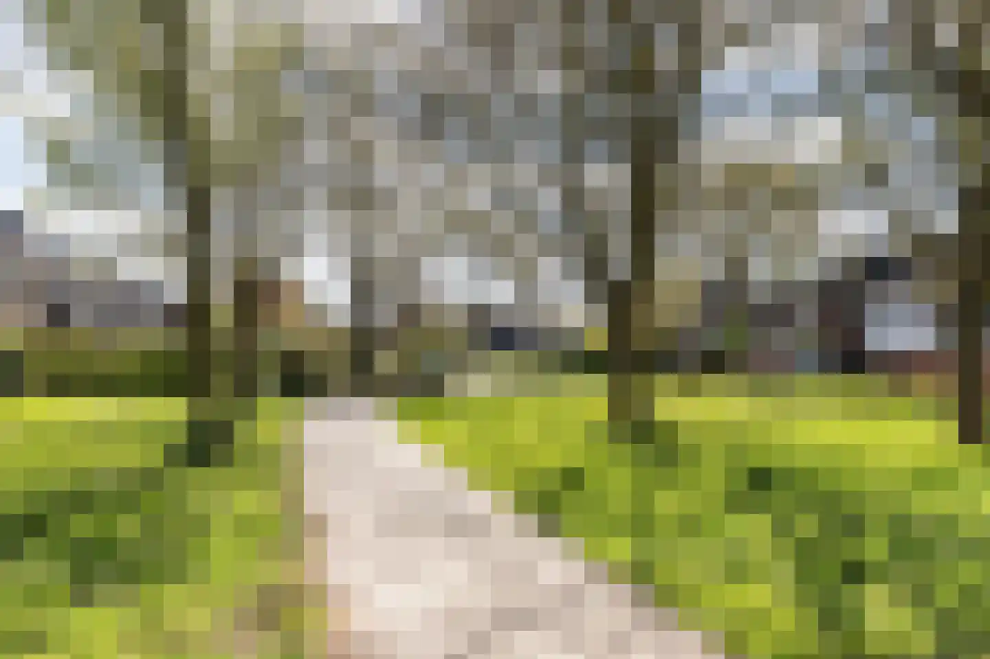 Noppenstraat 60 Zwaanshoek thumbnail 44