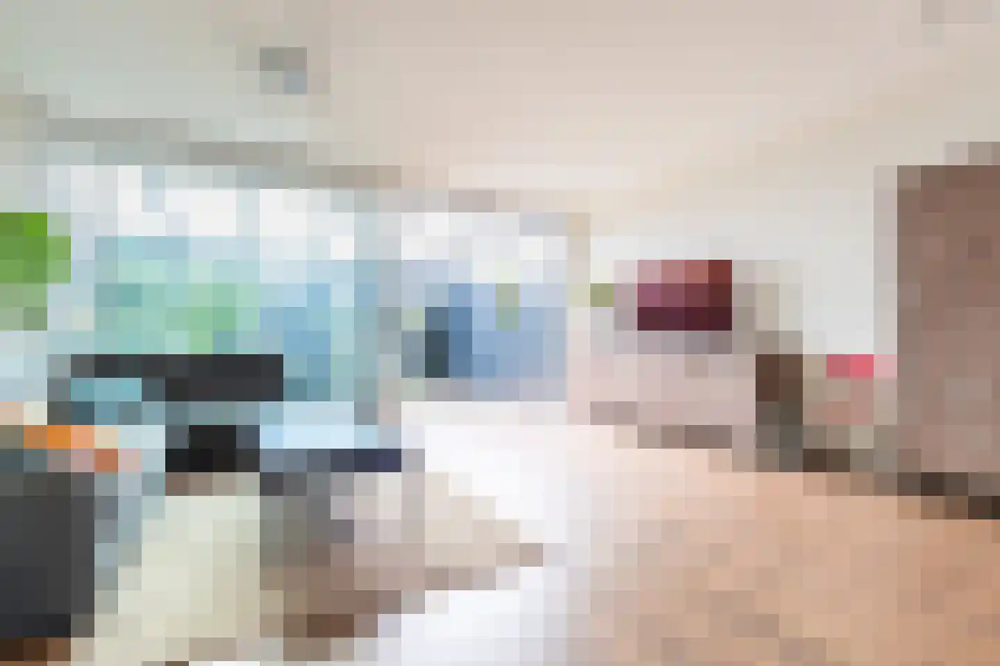 Noppenstraat 60 Zwaanshoek thumbnail 5
