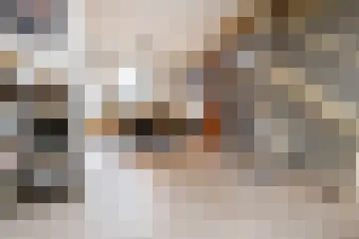 Noraschouw 2 Zoetermeer thumbnail 13